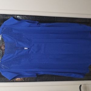 Dabielrainn Blue Blouse 1x